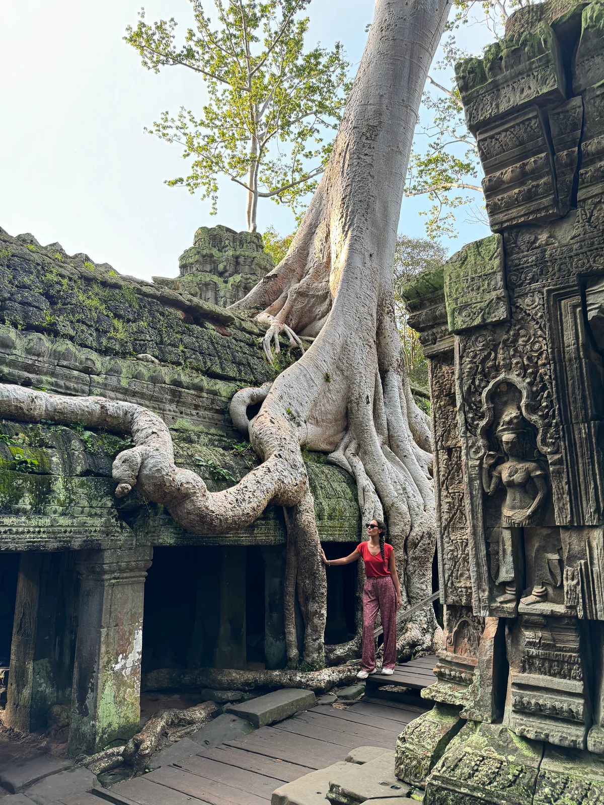 Le radici di un albero gigante avvolgono un antico tempio di pietra, con Samira sulla soglia